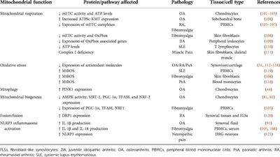 Mitochondria and sensory processing in inflammatory and neuropathic pain